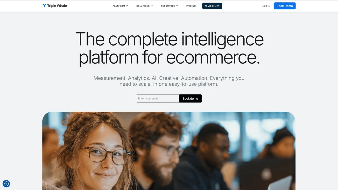 Triple Whale marketing platform
